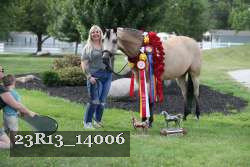 23R13_14006 thumbnail